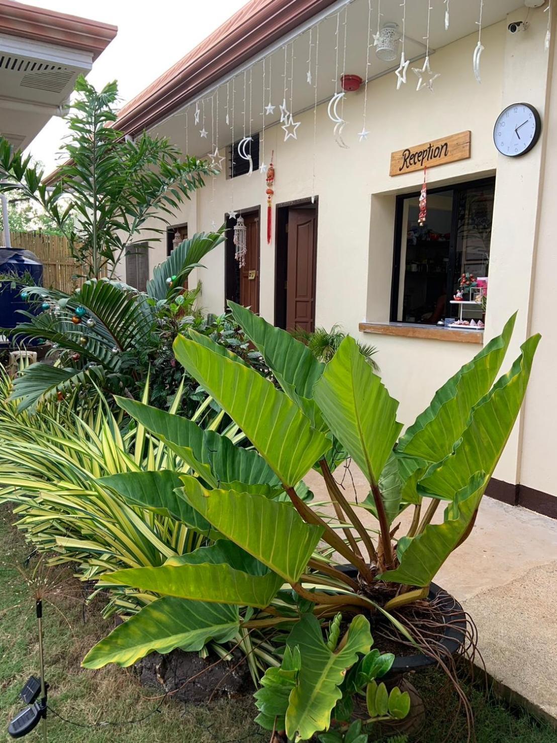 Mingche Apartment Panglao Island Exterior photo